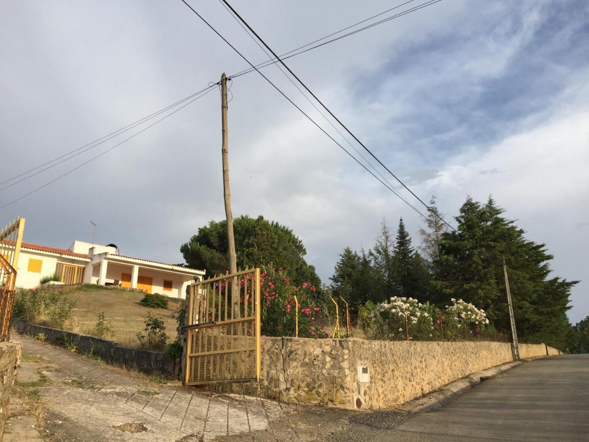 Casa De Pereiras, Vimioso别墅 外观 照片